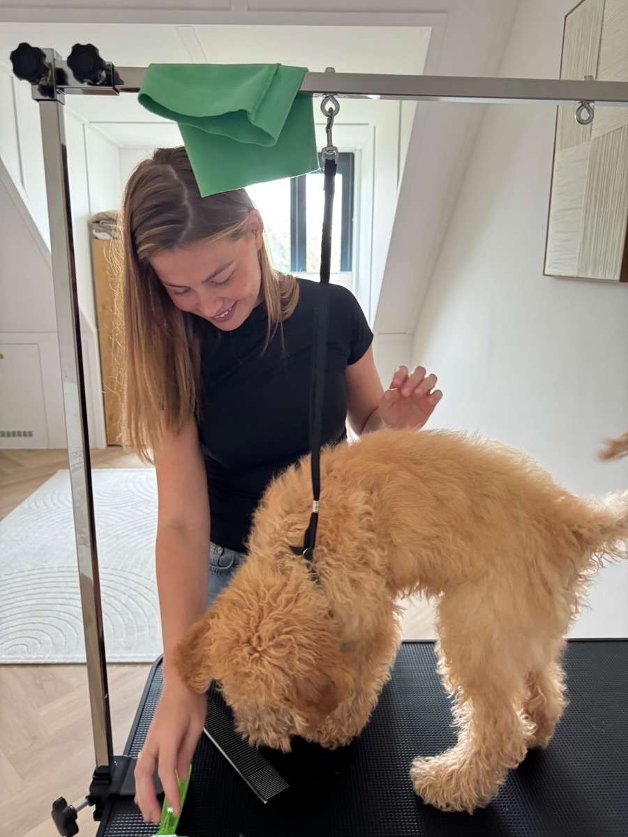 Rianne glimlacht liefdevol naar goudbruine puppy op de trimtafel